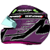 Casco de Pato Aguerreche